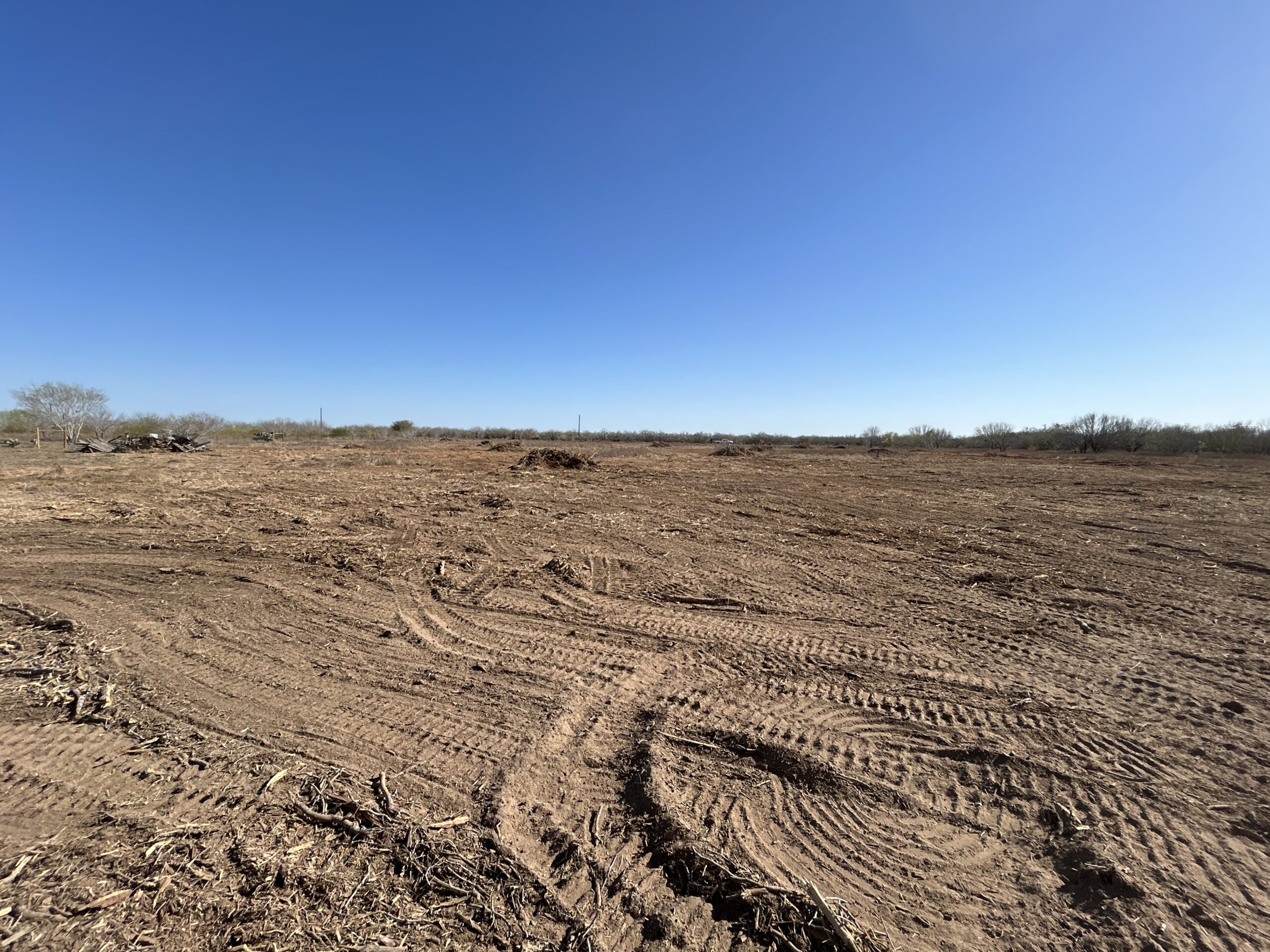 land clearing south texas