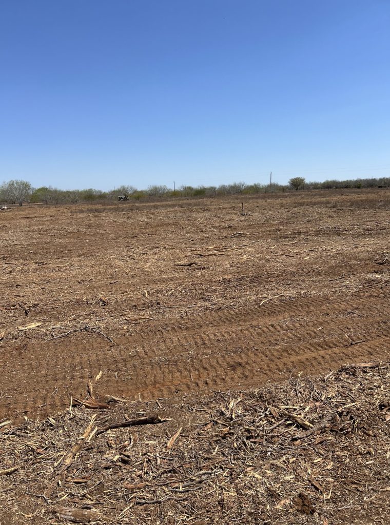 land clearing tx