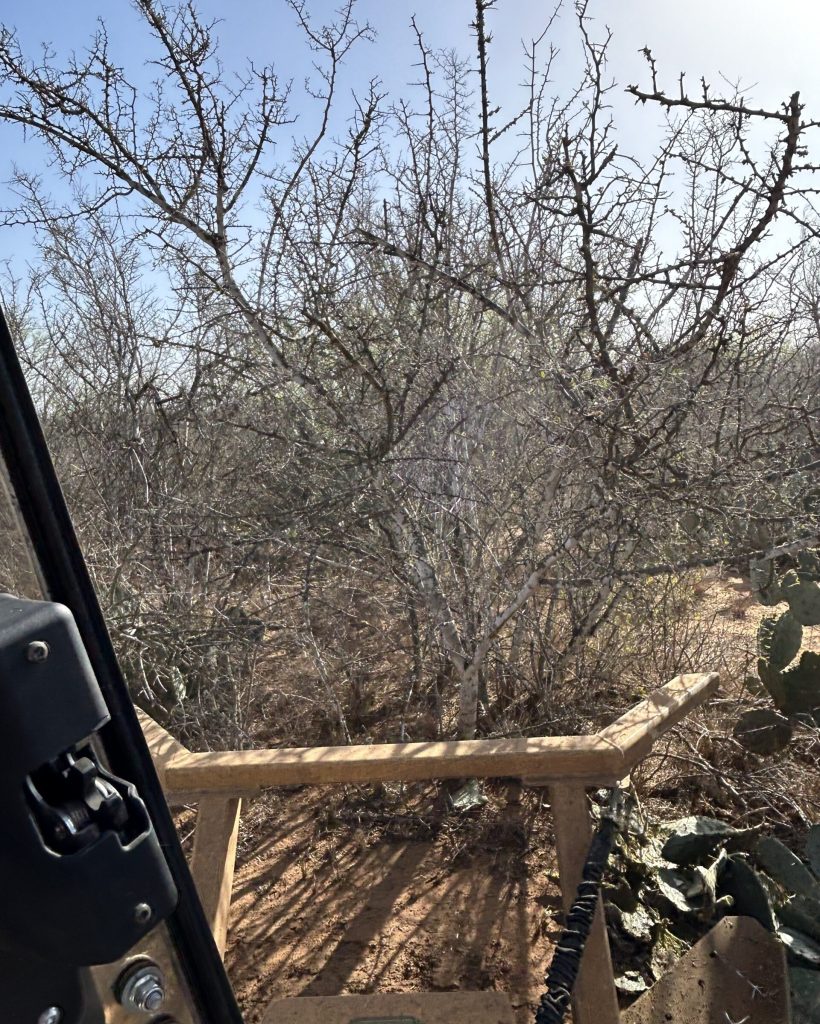 land clearing san antonio